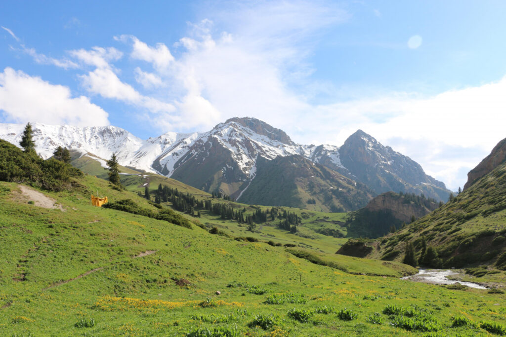 Чым-Коргон айыл өкмөтүнүн веб сайты тузулду